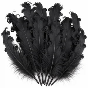 Гусиные перья Curl 15-20 см 10 шт. Черный